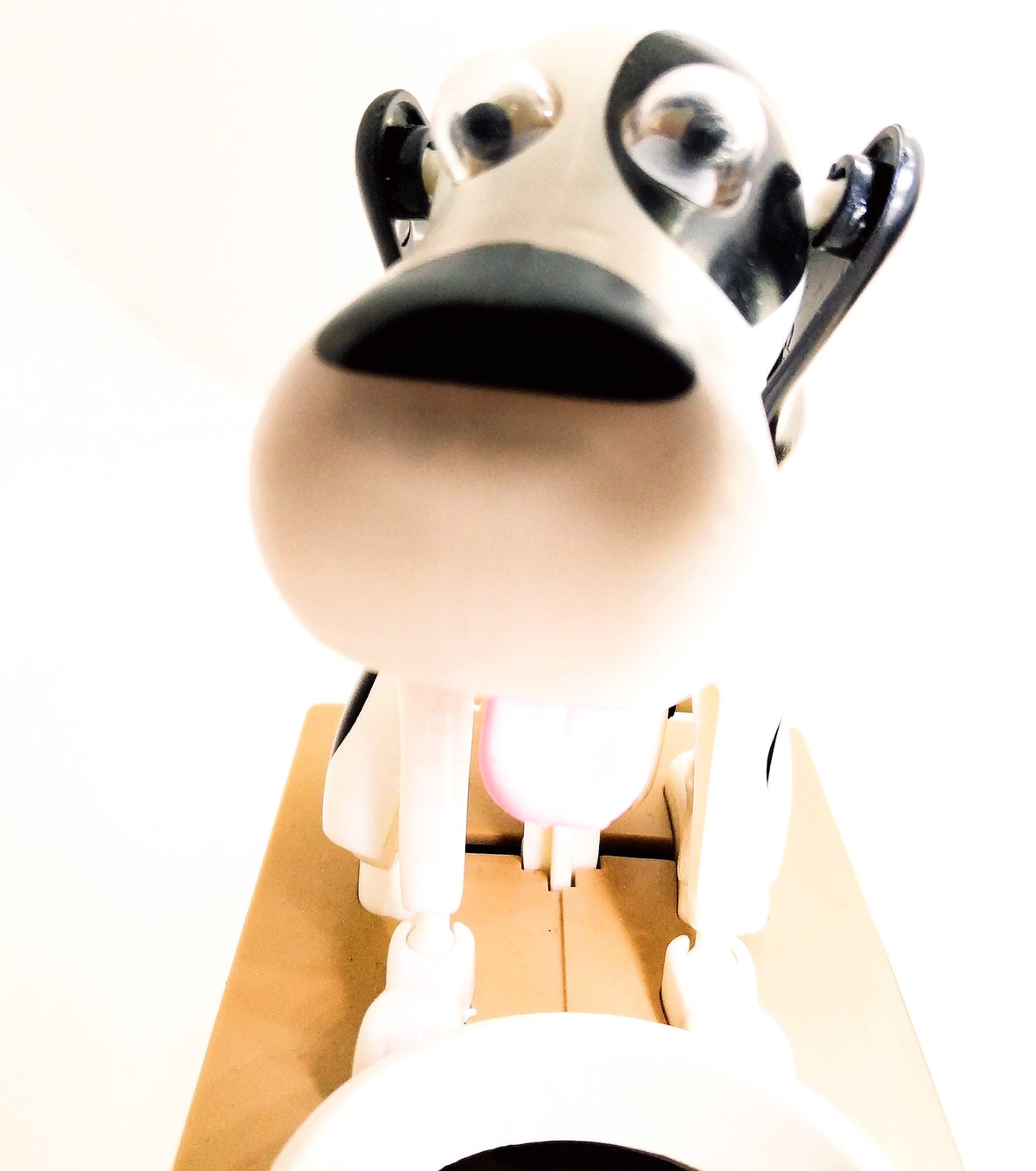 Hucha My Dog Piggy Bank 18x15x8cm