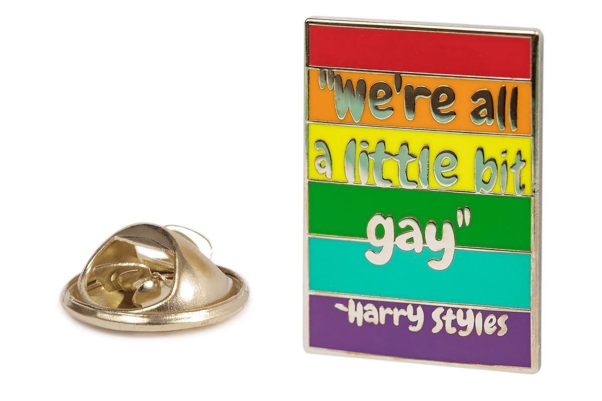 Pin we're all a little bit gay frase de Harry Styles- 30x20mm - Pin del orgullo gay