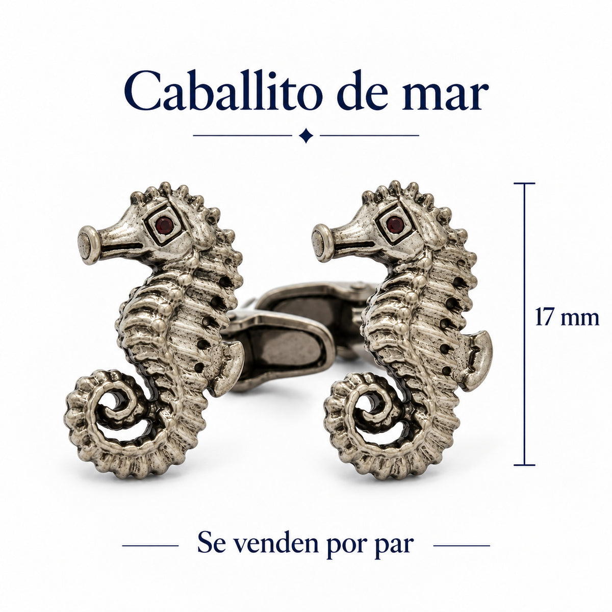 Caballito de mar: Infografía con medidas