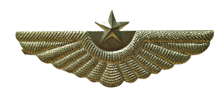 Insignia Militar Piloto URSS 65mm Recreación Histórica-Réplica Militar