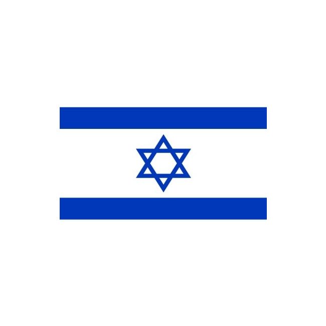 Bandera de Israel 90x150cm