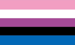 Bandera LGTBI Modelo 1 90x150cm