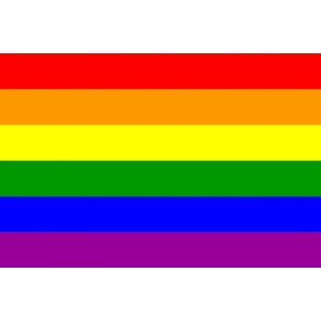 Bandera LGTBI Modelo 2 90x150cm.