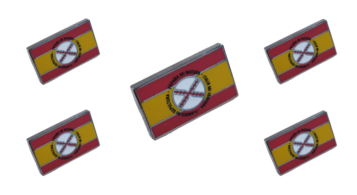 Pack 5 Pins de Solapa Bandera España Lema Tercios de Flandes 18x11mm