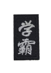Parche Termoadhesivo Caligrafia Oriental 4x2 cm