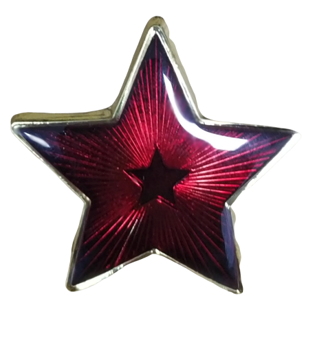 Pin de Solapa Estrella Roja Soviétca URSS 25mm Recreación Histórica-Réplica Militar