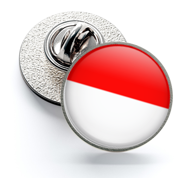 Pin de Solapa Magglass Banderas Regiones Suiza Solothurn
