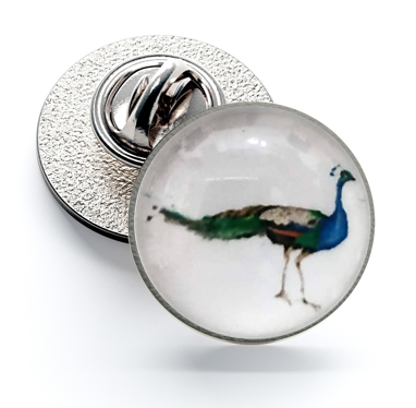 Pin de Solapa Magglass Pavo Real Derecha