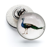 Pin de Solapa Magglass Pavo Real Izquierda