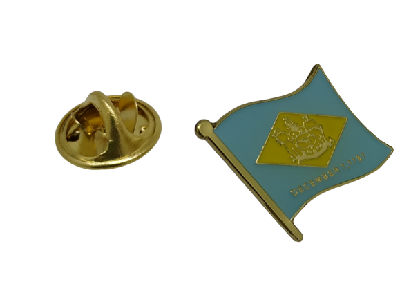 Pin de Solapa Bandera Estado Delaware 15x10mm