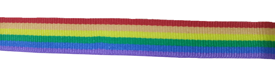 Pulsera Tela LGTBI 1m