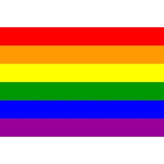 Bandera LGTBI Modelo 2 90x150cm - Gemelolandia