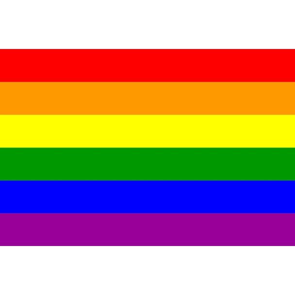 Bandera LGTBI Modelo 2 90x150cm - Gemelolandia