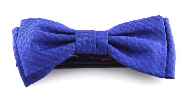 De seda natural Bow Tie